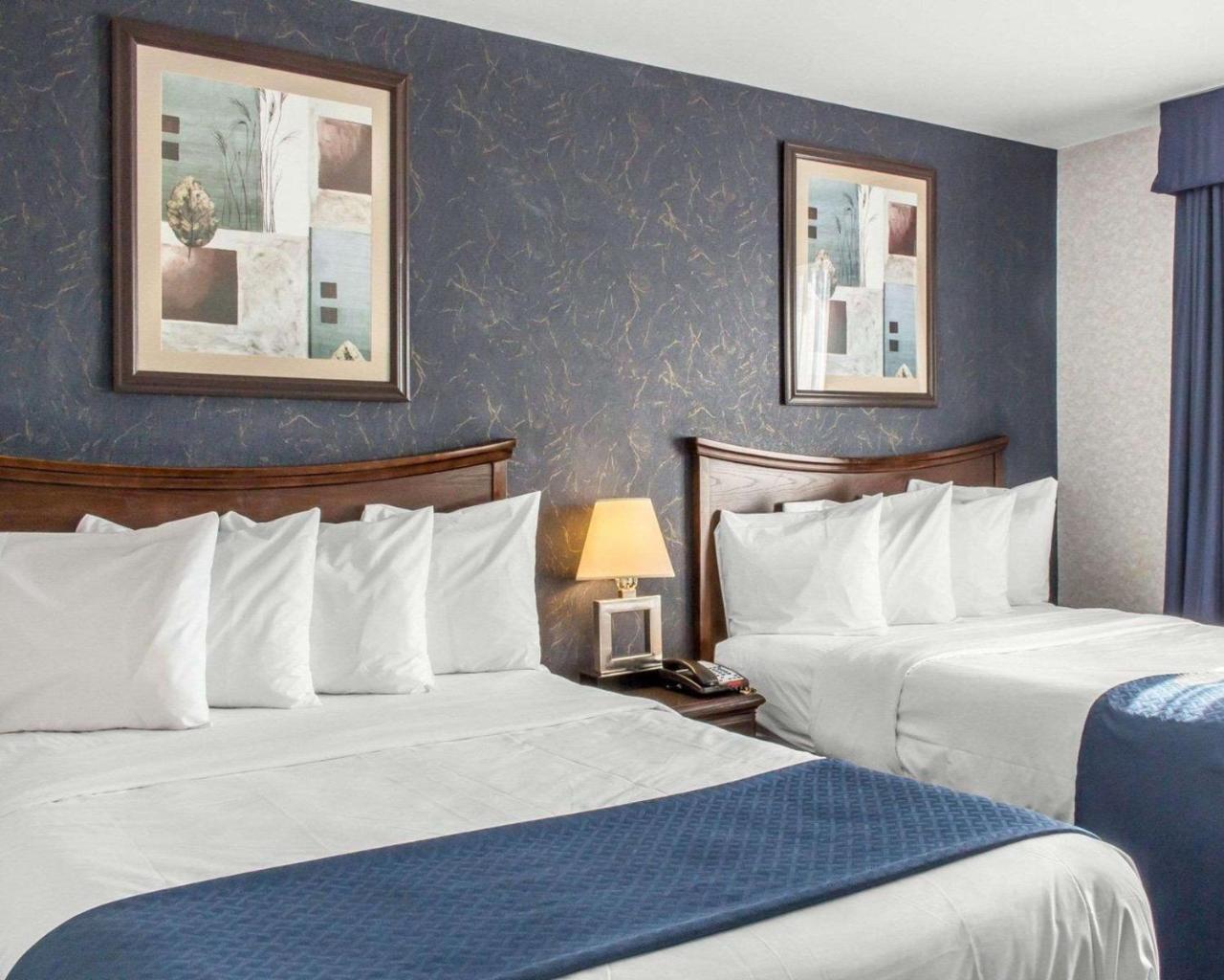 Paramount Inn Флорал Парк Екстериор снимка